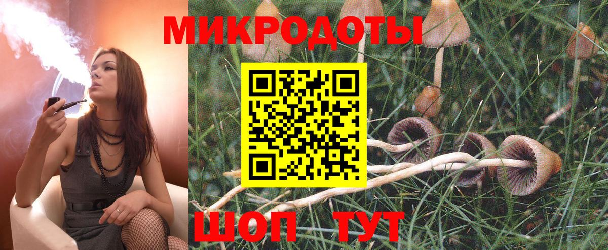 Псилоцибиновые грибы Psilocybe Ижевск